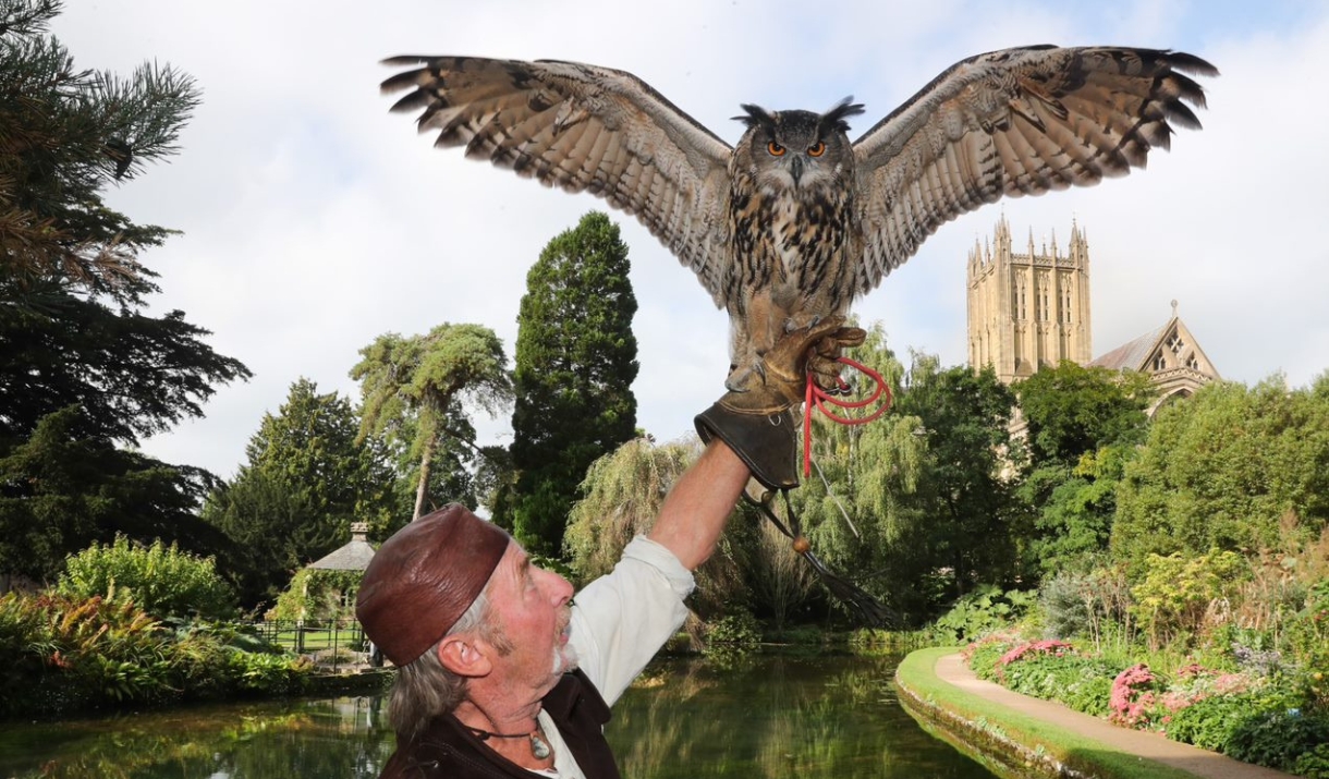 Bishops Palace - Falconry Day 